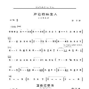岸边的陌生人_歌曲简谱_词曲: 佚名