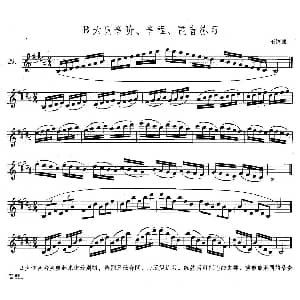 萨克斯谱 | 萨克斯练习曲合集 4 —29 B大调音阶 音程 琶音练习 王清泉