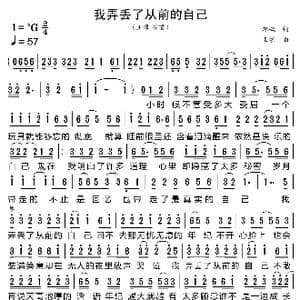 我弄丢了从前的自己_歌曲简谱_词曲:郝枫 王馨
