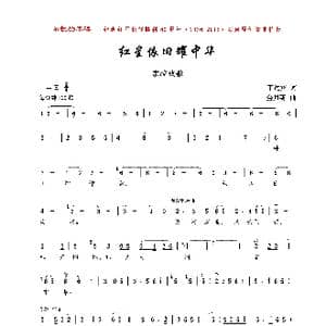 红星依旧耀中华_歌曲简谱_词曲:丁达宾 金月苓