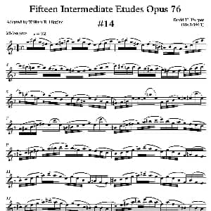 萨克斯谱 | 中级练习曲15首 Op76 14 D 波帕尔