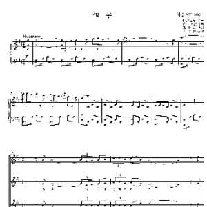 鸽子四声部合唱谱_歌曲简谱