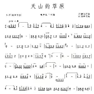 葫芦丝谱 | 天山的草原