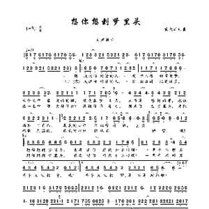 想你想到梦里头_歌曲简谱_词曲:黄大军 黄大军