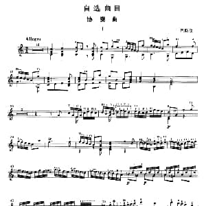 协奏曲 吉他谱 巴斯顿