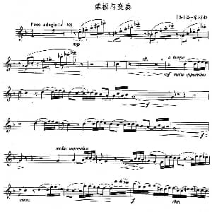 长笛曲谱 | 柔板与变奏