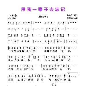 用我一辈子去忘记_歌曲简谱_词曲:郑智化 郑智化