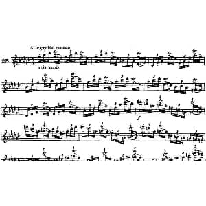 长笛曲谱 | 柯勒30首高级长笛练习曲作品75号 NO.25 Kohler 柯勒