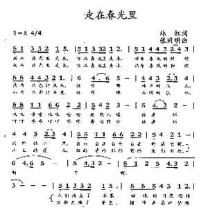 走在春光里_歌曲简谱_词曲:林红 张同明
