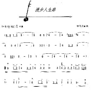 二胡谱 | 漫步人生路 日 中岛美雪