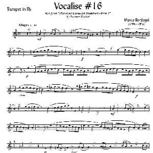 Bordogni Vocalise #16 小号 Marco Bordogni