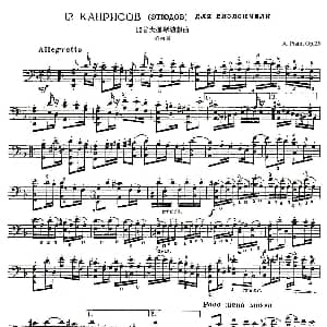 A. Piatti 12 Caprice Op.25 皮阿蒂 12首大提琴随想曲 第四