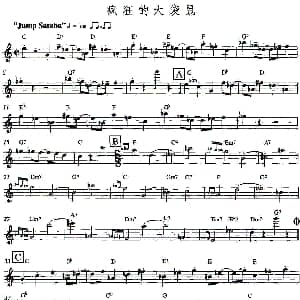 长笛曲谱 | 疯狂的大袋鼠