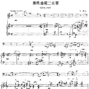 奏鸣曲第二乐章 大提琴 钢琴 王鹏