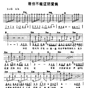 谁也不能证明爱情 吉他谱