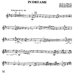 小提琴谱 | IN DREAMS