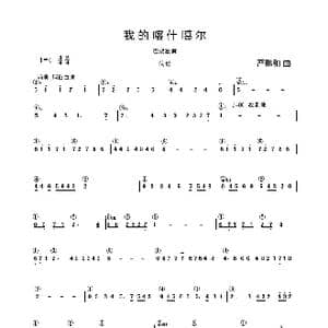 我的喀什噶尔_歌谱投稿_词曲: 严鹏和