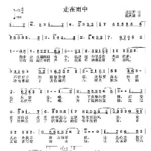 走在雨中_通俗唱法乐谱_词曲:龙远开 曾庆清