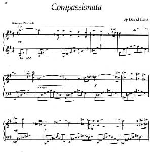 Compassionata 钢琴谱 美 大卫 兰兹 David Lanz
