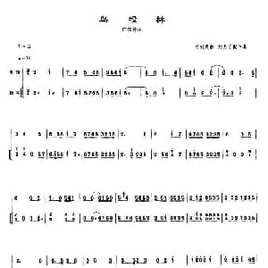 二胡谱 | 鸟投林 扬琴伴奏谱