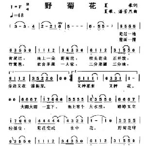 野菊花_通俗唱法乐谱_词曲:夏歌 夏歌 潘芳烈