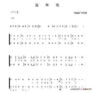 萱草花二部合唱谱 _歌谱投稿