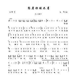想着你睡不着_歌曲简谱_词曲:王筝 王筝