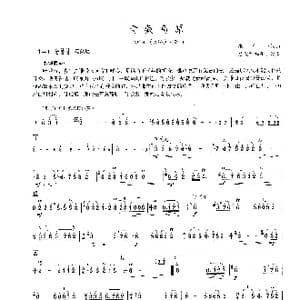 青藏高原_歌谱投稿