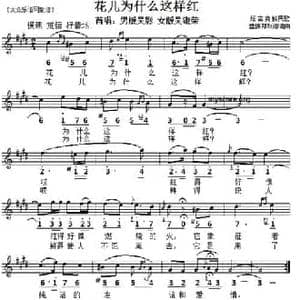 花儿为什么这样红_民歌简谱_词曲: 塔吉克民歌 雷振邦改词编曲