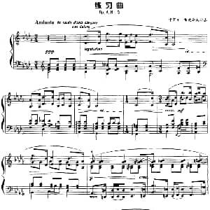 现代钢琴曲 22 练习曲 钢琴谱 波 卡罗尔 希曼诺夫斯基