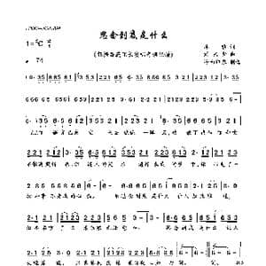 思念到底是什么_歌曲简谱_词曲:冰狼 冰狼