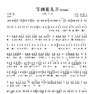 等到花儿开_歌曲简谱_词曲:崔伟立 崔伟立