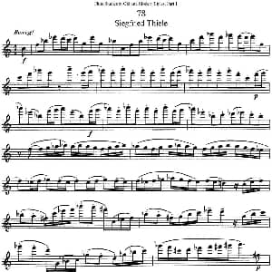 长笛曲谱 | 斯勒新老风格长笛练习重奏曲 第一部分 NO.78 Siegfried Thiele S. 斯勒