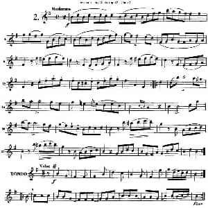 长笛曲谱 | 德维埃纳六个长笛二重奏小段Op.82 Flute 2 NO.2 Devienne 德维埃纳