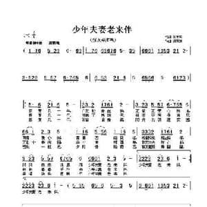少年夫妻老来伴_歌曲简谱_词曲:张友殿 饶荣发