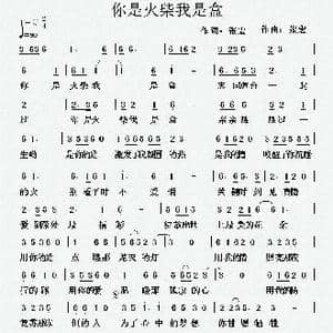 你是火柴我是盒_歌曲简谱_词曲:张宏 张宏