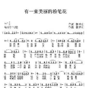 有一束美丽的粉笔花_民歌简谱_词曲:杜学山 杜学山