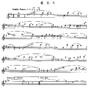 长笛曲谱 | 桑巴D