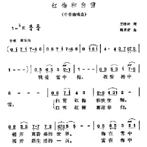 红梅和白雪_美声唱法乐谱_词曲:王晓岭 魏景舒