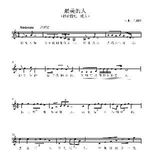 最美的人_歌曲简谱_词曲:陈鹏伟 陈鹏伟