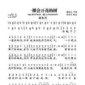 一棵会开花的树_歌曲简谱_词曲:谢春花 谢春花