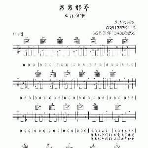 匆匆那年 吉他谱 王菲