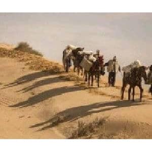 赶牲灵_歌曲简谱_词曲:陕北民歌 陈文金编曲