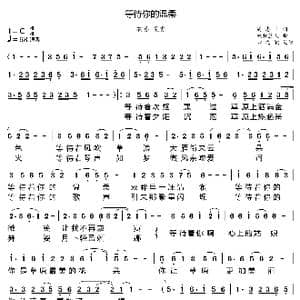 等待你的温柔_歌曲简谱_词曲:周志平 放牧蓝天