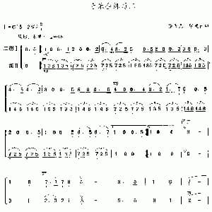 二胡谱 | 音乐会练习二 二重奏 张飞龙 张建国改编