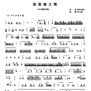 流浪者之歌 中音板胡 萨拉萨蒂