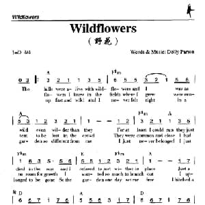 Wildflowers_外国歌谱