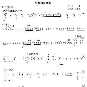 琵琶谱 | 新翻羽调绿腰 杨洁明