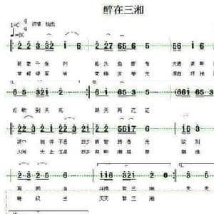 醉在三湘_民歌简谱_词曲:单来民 涂乐