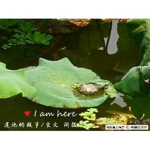 莲池的故事_歌谱投稿_词曲:宋文 刘莎